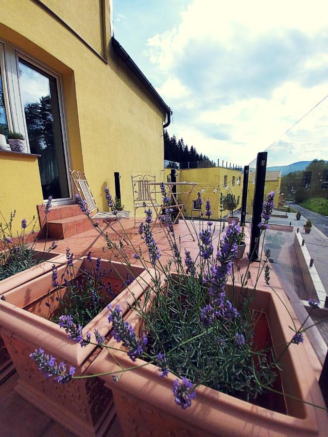 The Meetinka Apartments Jesenik Exterior photo